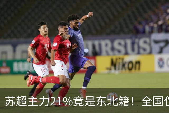 苏超主力21%竟是东北籍！全国仅11.6%，这局到底是谁选了谁？