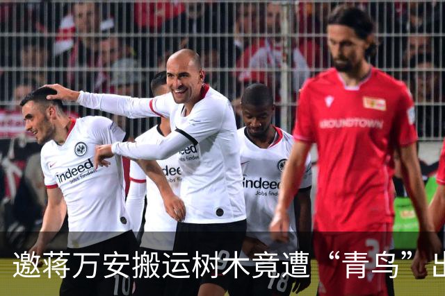 邀蒋万安搬运树木竟遭“青鸟”出征，清洁队长：我好内疚、很难过